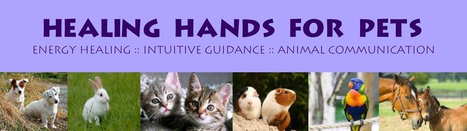 Healing Hands for Pets